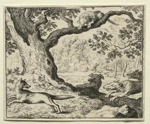 Reynard the Fox: Epälojaali kissa.