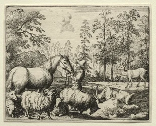 Reynard the Fox: Kateellinen hevonen.