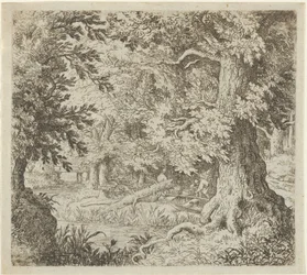 Puro metsässä, 1600-luku.