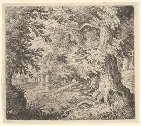 Puro metsässä, 1600-luku.