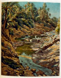 Dinet:n kuvitus teoksesta Mirages Scenes of Arab life. 1906. Mirages, Scénes De La Vie Arab on kuvittanut Etienne Dinet Silman Ben Ibrahim Bamerin kommentilla. Nasreddine Dinet syntyi nimellä Alphonse-Étienne Dinet; (1861-1929) oli ranskalainen itämainen