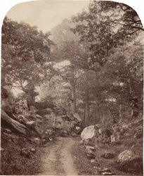 Fontainebleau, noin 1860-luku (kuva).