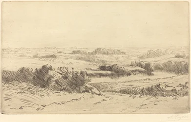 Yannen pankit