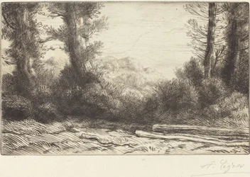 Puun reuna Lisiere de bois.