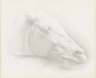 Parthenonin hevosen pää, 1898.