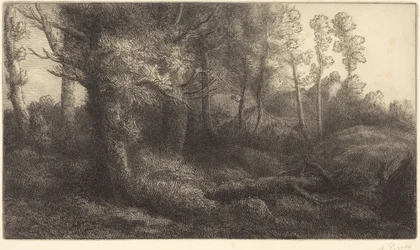Metsän laidalla (Lisière de forêt)