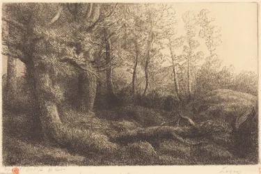 Metsässä