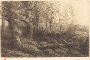 Metsässä Lisiere de foret.