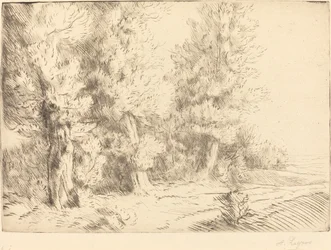 Fontainebleaun metsässä Dans la foret de Fontainebleau.