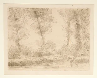 Les bords de la Liane (Lianen pankit)