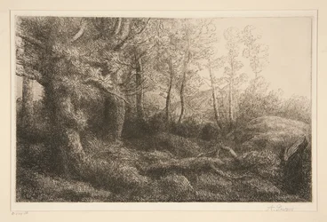 metsän reuna