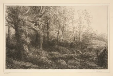 Metsänreuna
