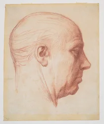 Miehen profiili