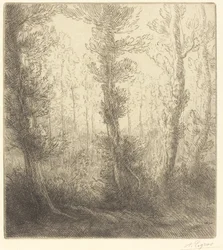 Pieni järvi