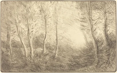 Auringonnousu, Clamartin metsät Auringonnousu, Clamartin metsät.