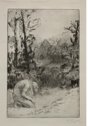 Tuhlaajapoika (2. levy)
