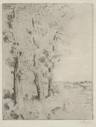 Lukija: Luento puiden alla, c. 1882.