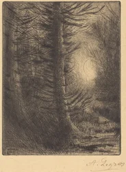 Woods in Winter Sun, 1. levy