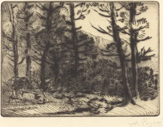 Woods in Winter Sun, 2. levy