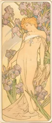 Kuole Iris