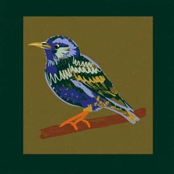 Eläväinen starling-istuin