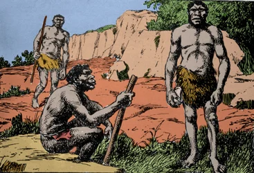 Esihistoria: Homo rhodesiensiksen eli Broken Hillin ihmisen kuvaus. Hän oli Homo sapiensin esi-isä, jonka fossiilit löydettiin Rhodesiasta (nykyisestä Afrikan Sambiasta). A. Forestierin piirros. DR