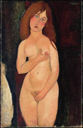 Venus tai seisova alaston tai alaston Medici; Venus