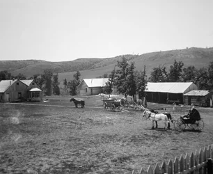 Haylie Ranch, Crook County, Wyoming, n. 1890 (m/v kuva)