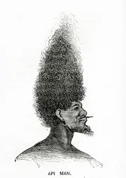 Api Man, kuvitus Appletons Journalista, 4. toukokuuta 1872