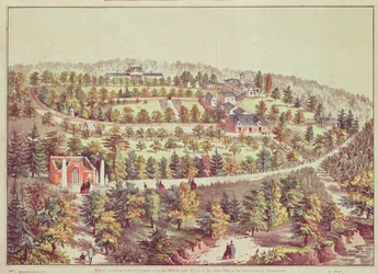 Lintuperspektiivistä Mount Vernon, 1859