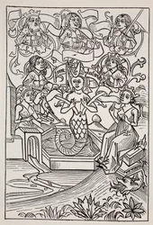 Melusine-keiju, Thomas Keightleyn (1789-1872) teoksesta The World Guide to Gnomes, Fairies, Elves and Other Little People, julkaistu 1880