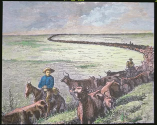 Longhorn-karjan ajo Texasista Abileneen, Kansasiin, noin 1870-luku (värilitho)