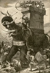 Persian sotanorsu taistelussa