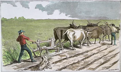 Sodbusters of the American West, n. 1880 (värillinen kaiverrus)