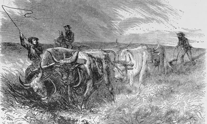 The Prairie Sod Plough, kuvitus "Harper