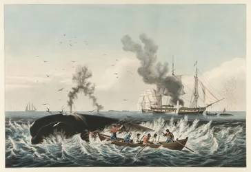 The Whale Fishery - "Oikean" valaan hyökkäys ja "Cutting In", pubi. 1860 (väri litho)