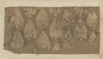 Fragmentti