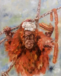 Hauska orangutangikokki