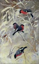 Bullfinches (öljy kankaalle)