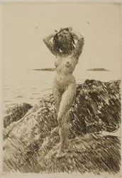 Hårtång (merileväseppele)