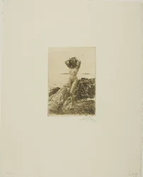 Hårtång (meripuuseppele)