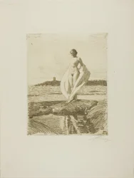 Joutsen