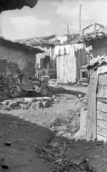 CROTONE - MAASTOSKOOTTERI
