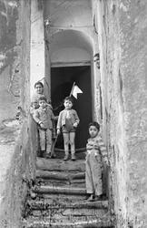 CROTONE - VIIRI