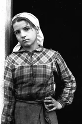 Nuori tyttö työskentelee oliivinpoimijana Calabriassa, Italiassa, noin 1955 (s/w-kuva).