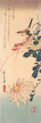 Wren ja krysanteemit, n. 1830, n. 1830.