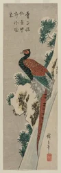 Copper Fasant by Snowy Waterfall, 1830-luvun lopulla tai 1840-luvun alussa.