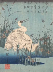 Haikara iiriksessä ja ruohoissa, n. 1837, n. 1837.