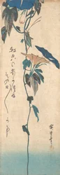 Heinäsirkka ja Morning-glory Vine, n. 1835, n. 1835.