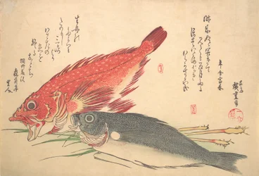 Isaki ja Kasago Fish, sarjasta Uozukushi Every Variety of Fish, 1830s., 1830s.